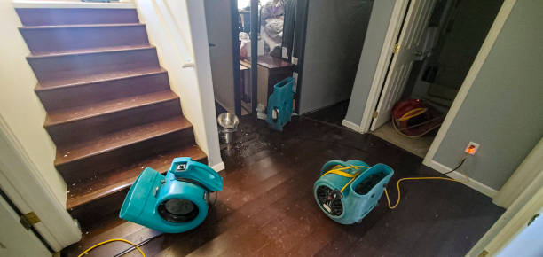 Best Professional water damage repair  in University Of Lifornia Davis, CA