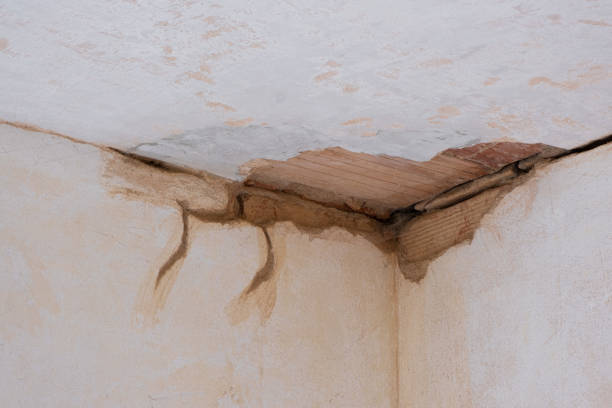 Best Commercial water damage restoration  in University Of Lifornia Davis, CA