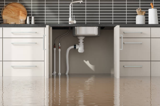 Best Fire Damage Restoration  in University Of Lifornia Davis, CA